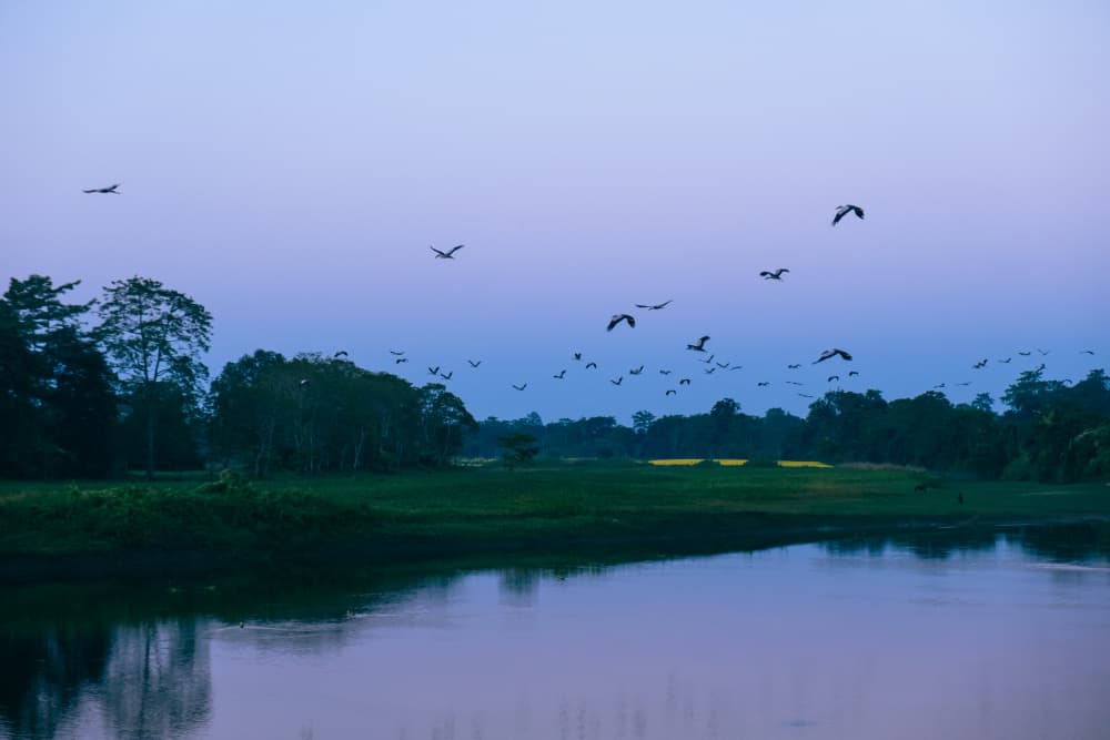 Blue Hour Bird Flight by Dahlia Ambrose — canvas wall art