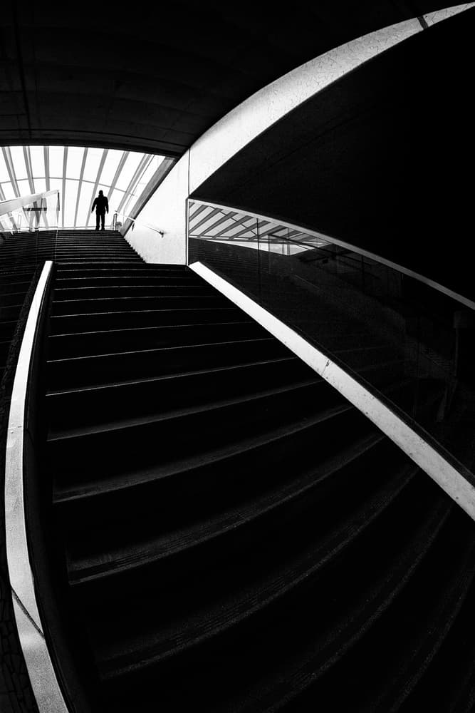 Modern Staircase Silhouette by Paulo Abrantes — canvas wall art