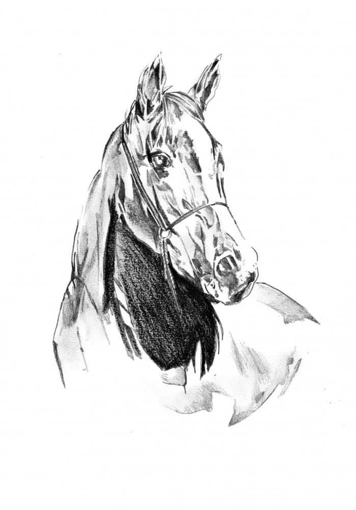 Spirited Horse Portrait by Kulik — canvas wall art
