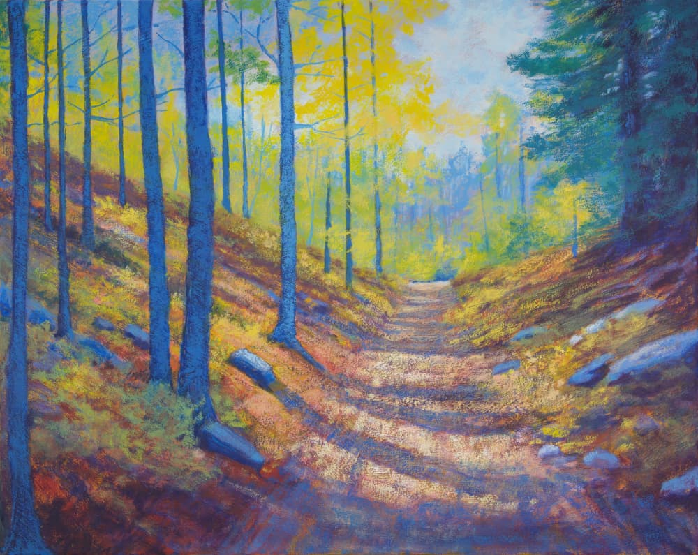 Sunlit Autumn Forest Path by Matt Dominger — canvas wall art
