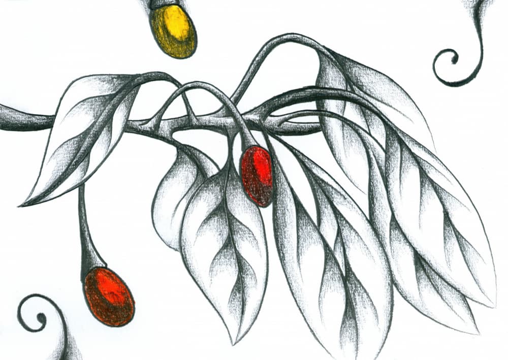 Colorful Berries Branch by Kulik — canvas wall art