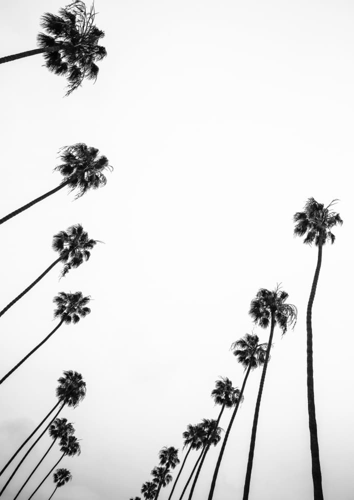 Whispers in the Sky by Shot by Clint — canvas wall art