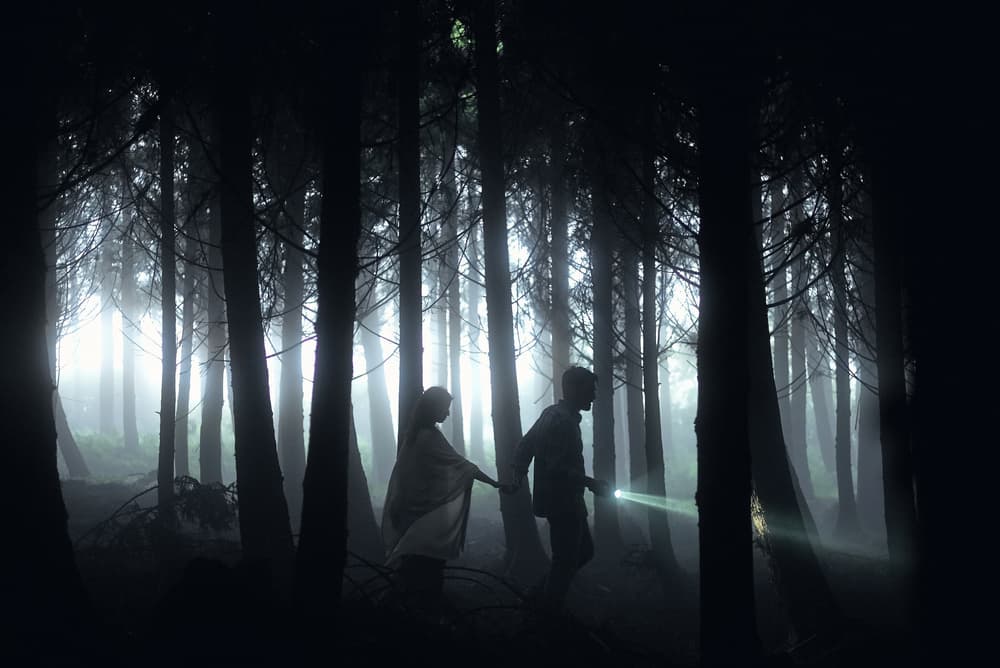 Through The Misty Forest by Rui Caria — canvas wall art