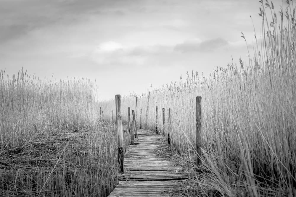 Winding Marsh Boardwalk by Lars Hylleberg — canvas wall art
