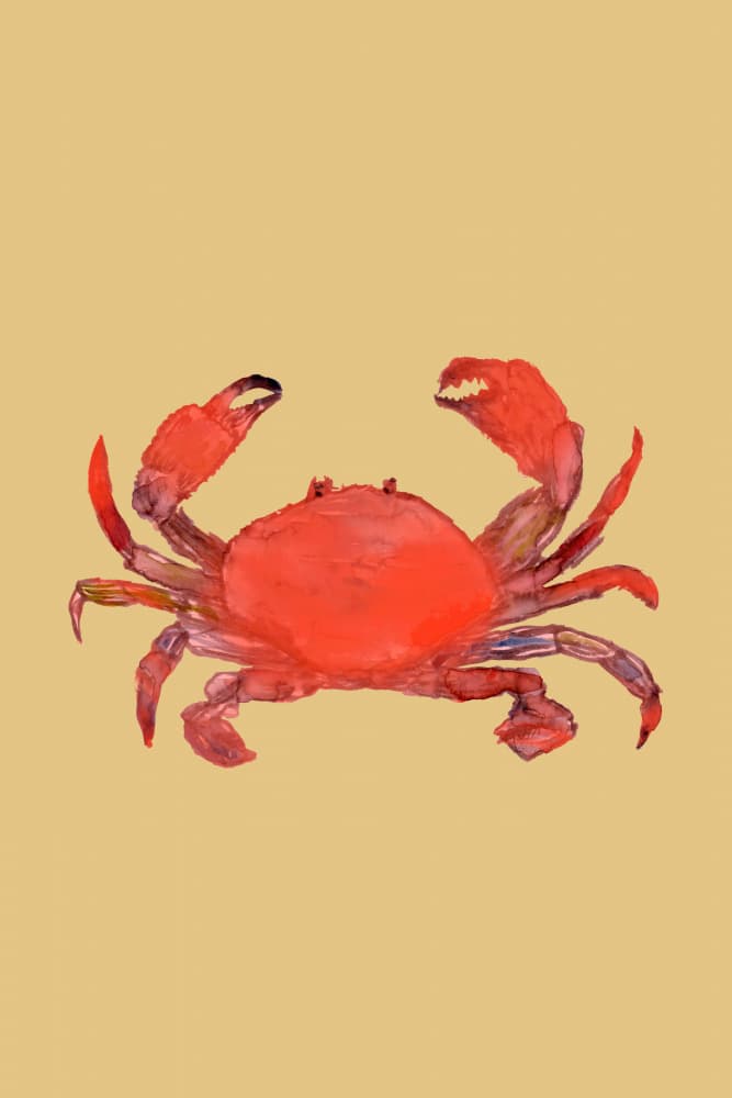 Vibrant Red Crab by cartissi — canvas wall art