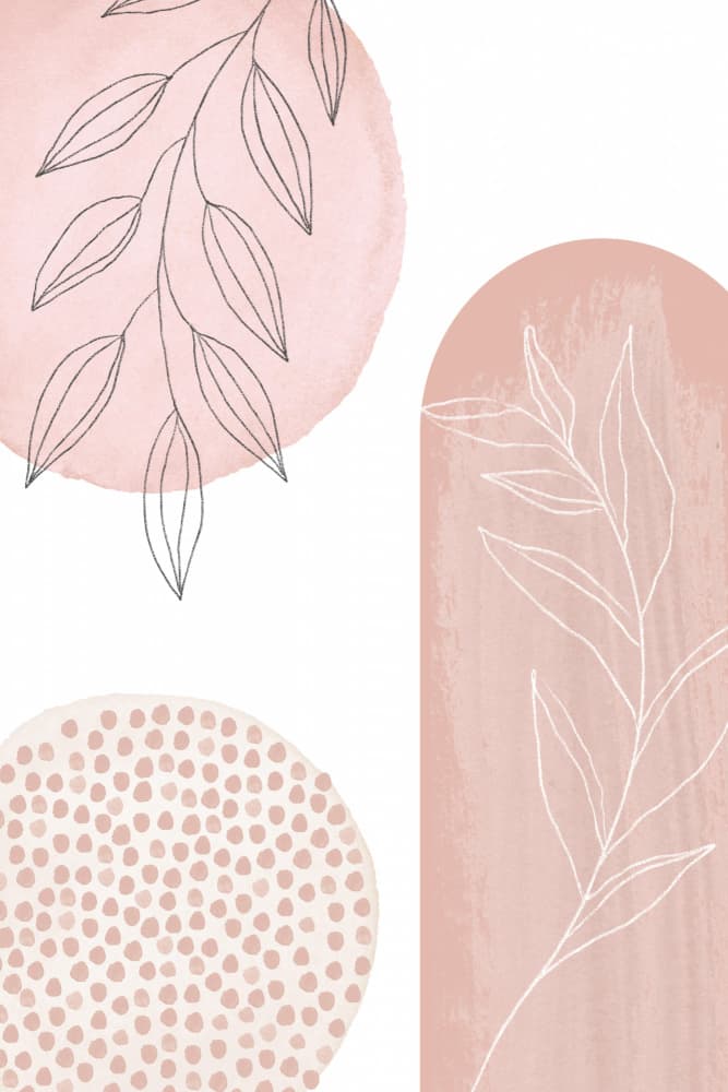 Gentle Blush Botanicals by Sally Ann Moss — canvas wall art