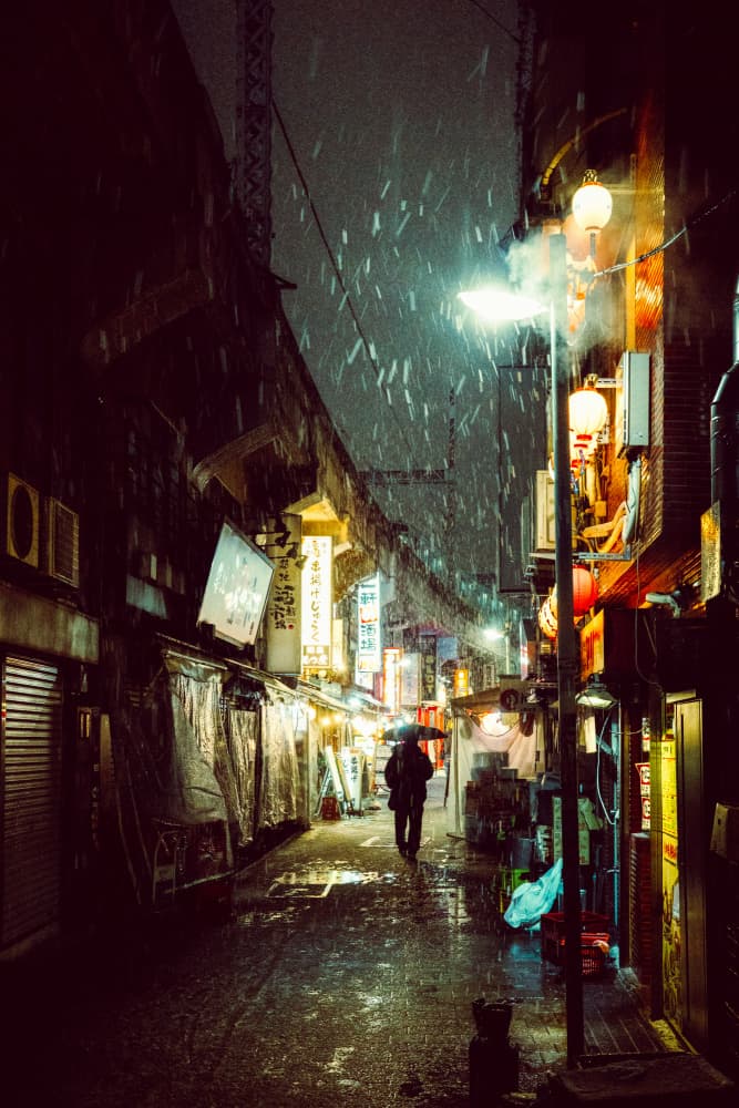Tokyo Rainy Night by Takashi Hasegawa — canvas wall art