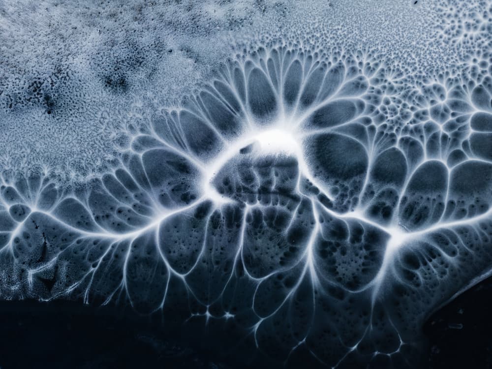 Frozen Blue Patterns by Leszek Paradowski — canvas wall art