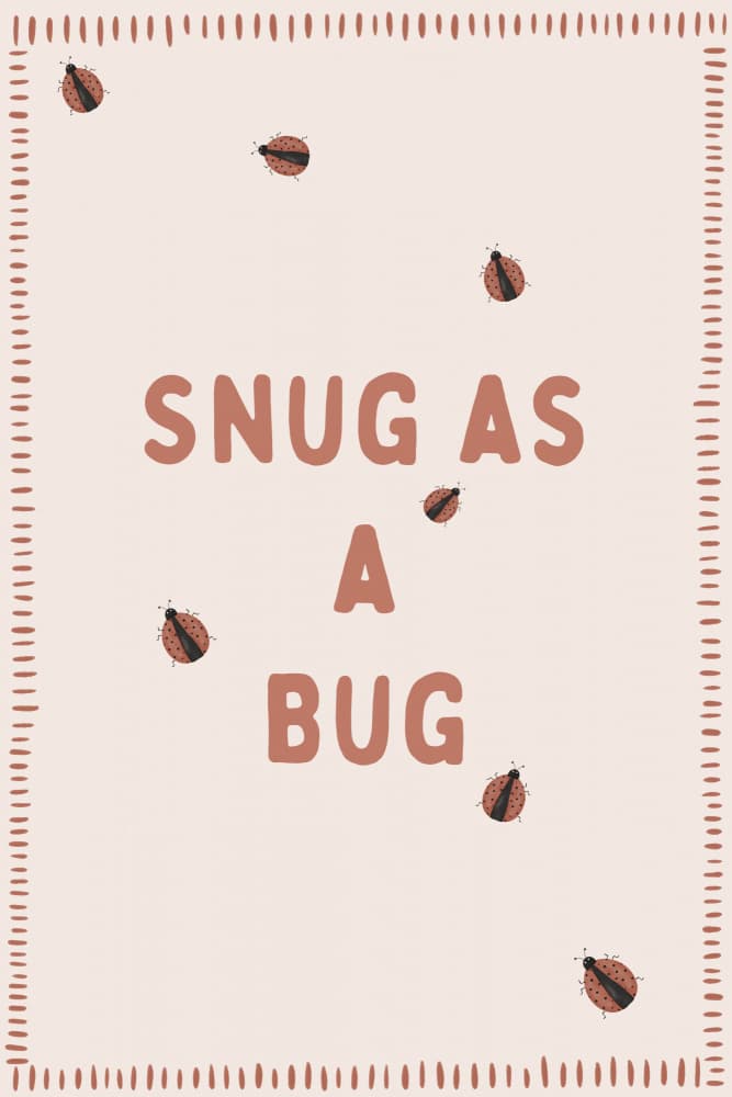Snug As A Bug by Menina Lisboa — canvas wall art