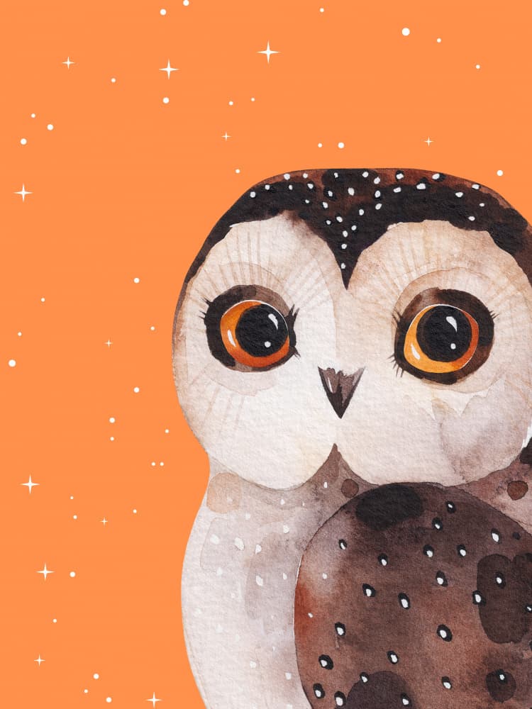 Starry Night Owl by Ohkimiko — canvas wall art