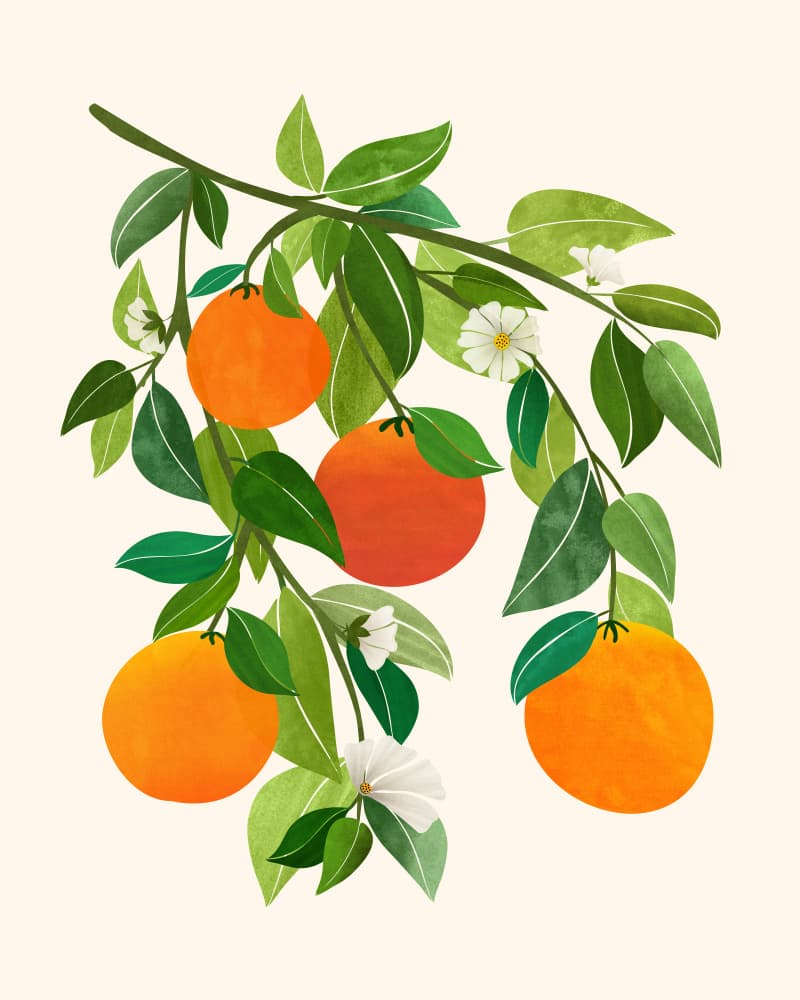 Oranges and Blossoms II by Kristian Gallagher — canvas wall art