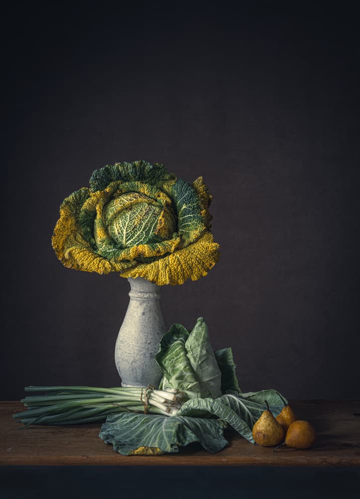 Rustic Cabbage Still Life by Monique van Velzen — canvas wall art