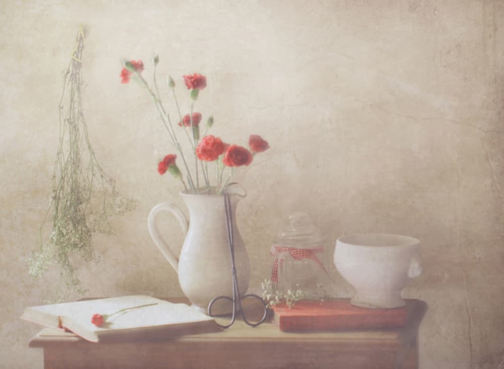 Soft Carnations Still Life by Delphine Devos — canvas wall art