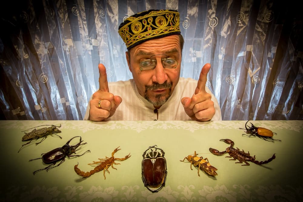 Curious Man's Insect Collection by tom r. grabuschnigg (tomtitan) — canvas wall art