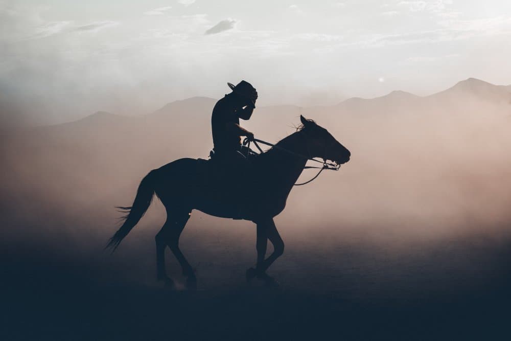 Cowboy Sunset Ride by M. Emre Erol — canvas wall art