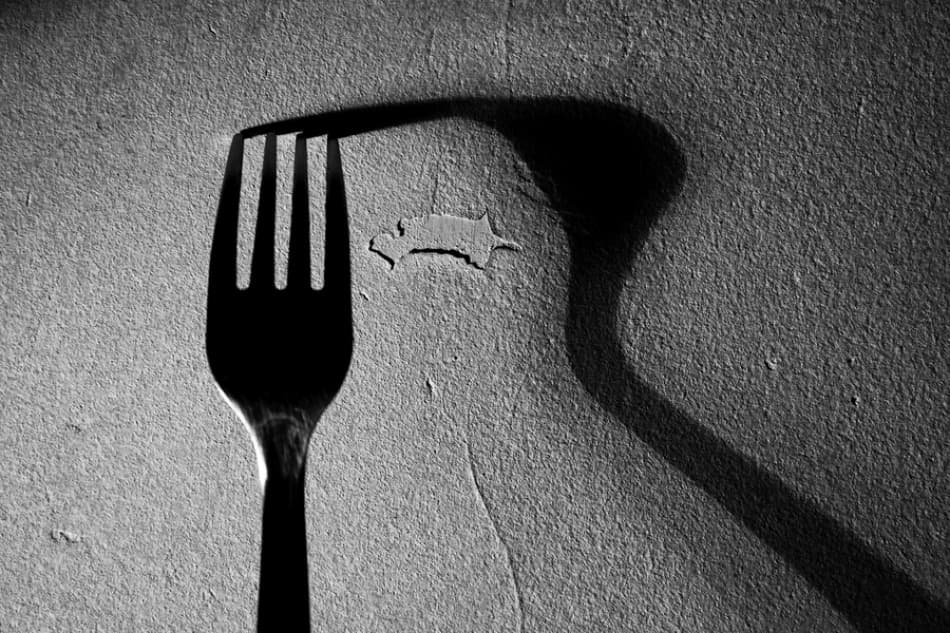 Stark Fork Shadow by Catalin Baican — canvas wall art