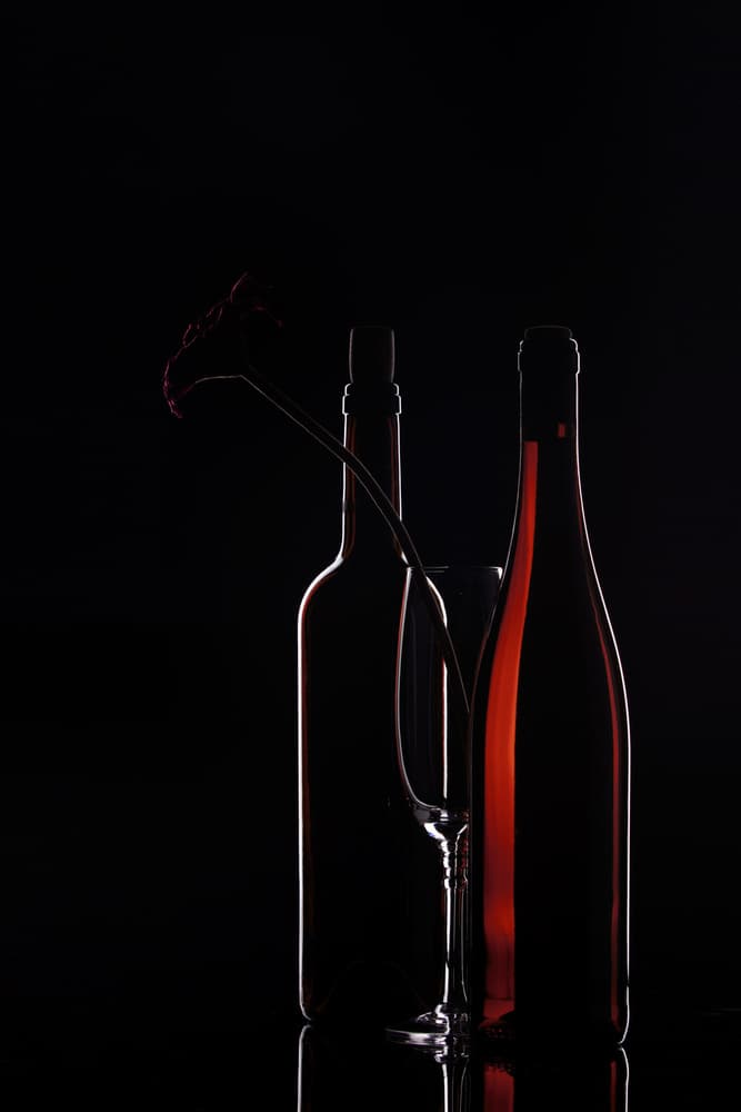 Red Wine Still Life by S. Amer — canvas wall art