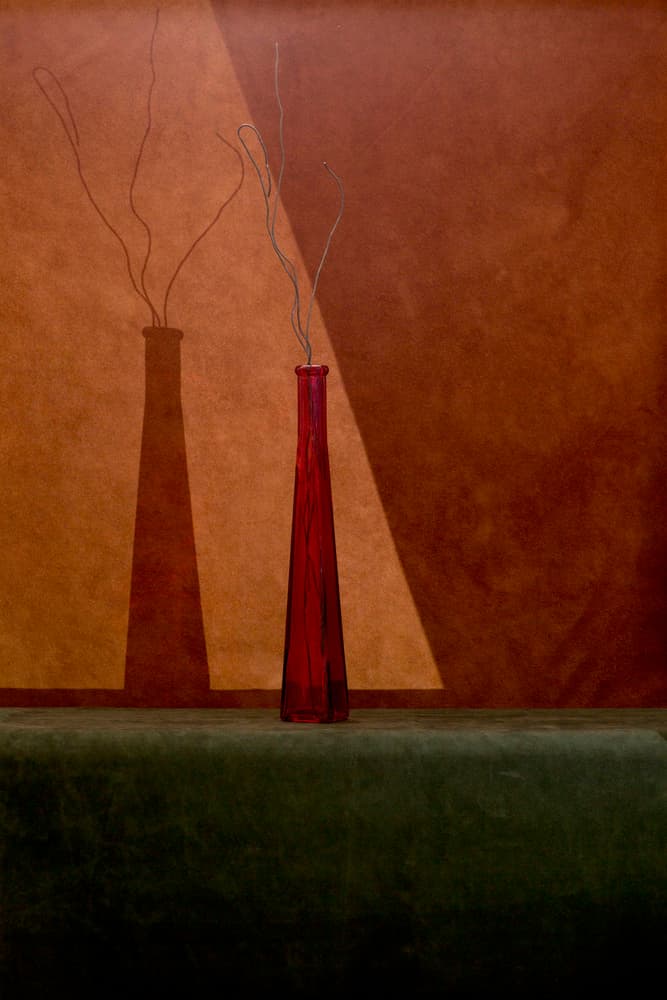 Red Vase Shadow Play by Brig Barkow — canvas wall art