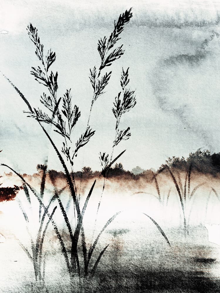 Misty Morning Reeds by Treechild — canvas wall art