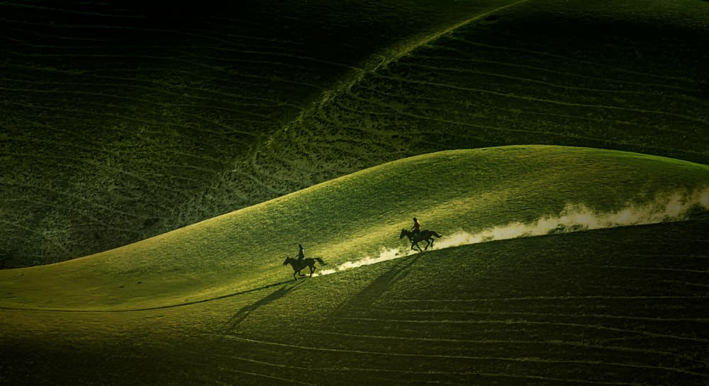 Riders Galloping Hills by May G — canvas wall art