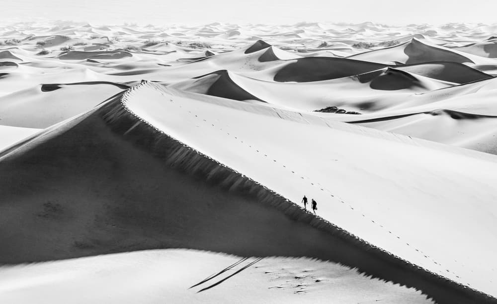 Vast Desert Walk by Jenny Qiu — canvas wall art