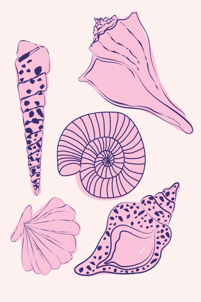 Pastelseashells by Treechild — canvas wall art