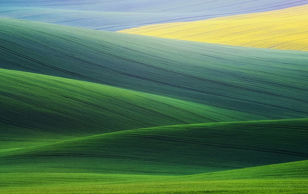 Serene Rolling Fields by Ales Komovec — canvas wall art