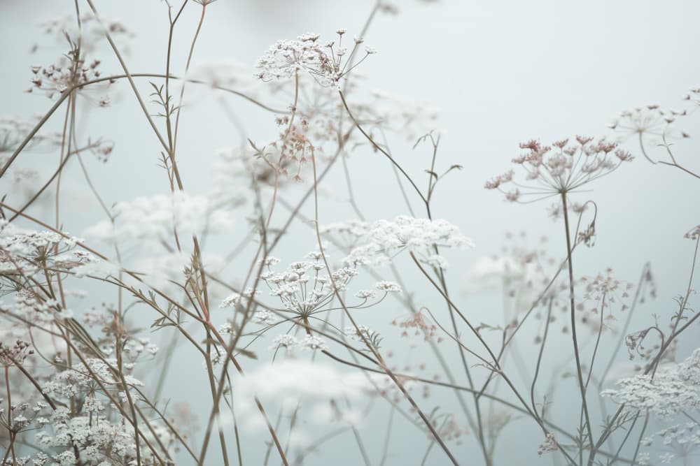Summer Moments 12 by Mareike Böhmer — canvas wall art