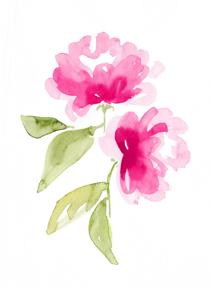 Kailey hot pink by Rosana Laiz Blursbyai — canvas wall art