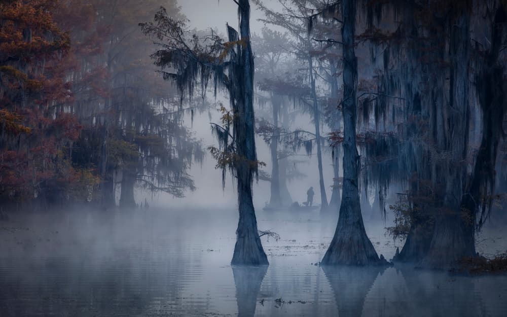 Misty Cypress Swamp by Michael Zheng — canvas wall art