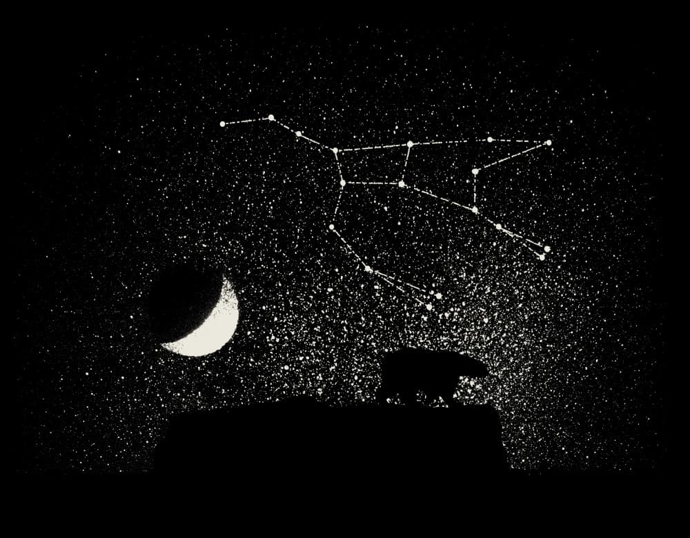 Polar Bear Constellations Night by Florent Bodart — canvas wall art