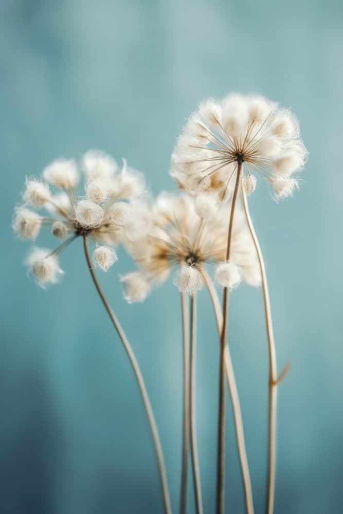 Puffs in the Breeze by Treechild — canvas wall art