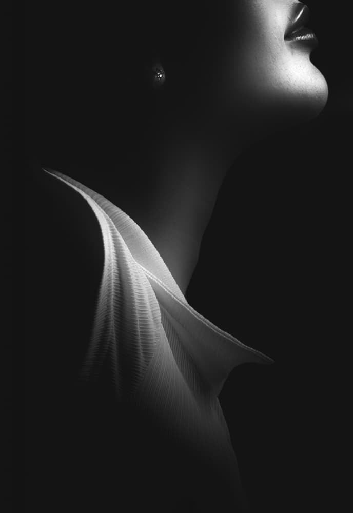 Elegant Woman Profile by Toni Fidanza — canvas wall art