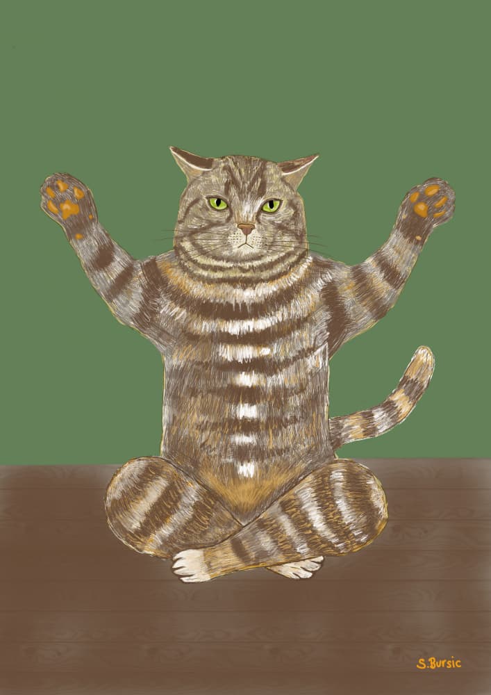 Zen Cat Yoga by Sharyn Bursic — canvas wall art