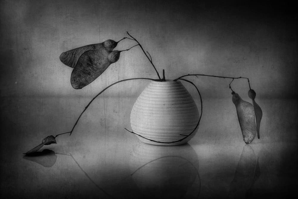 Minimalist Botanical Still Life by Elena Arjona — canvas wall art