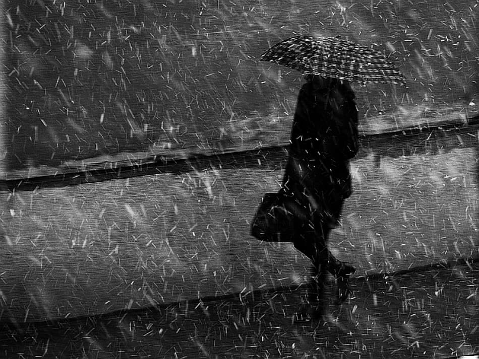 Solitary Walk in Rain by Nicoleta Gabor — canvas wall art