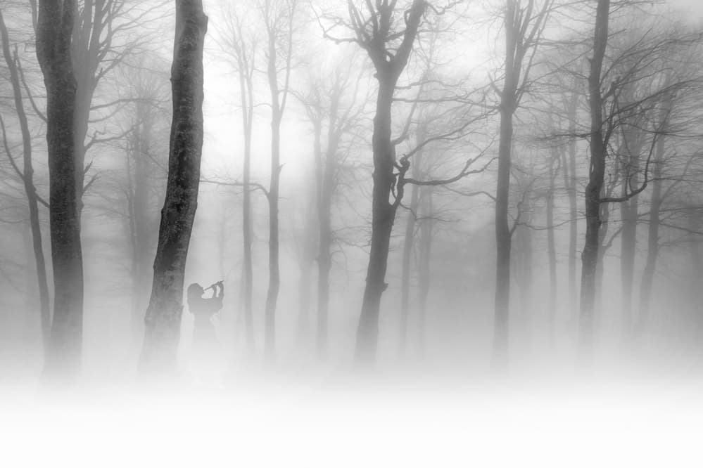 Musician in Misty Forest by Ummu Nisan Kandilcioglu — canvas wall art