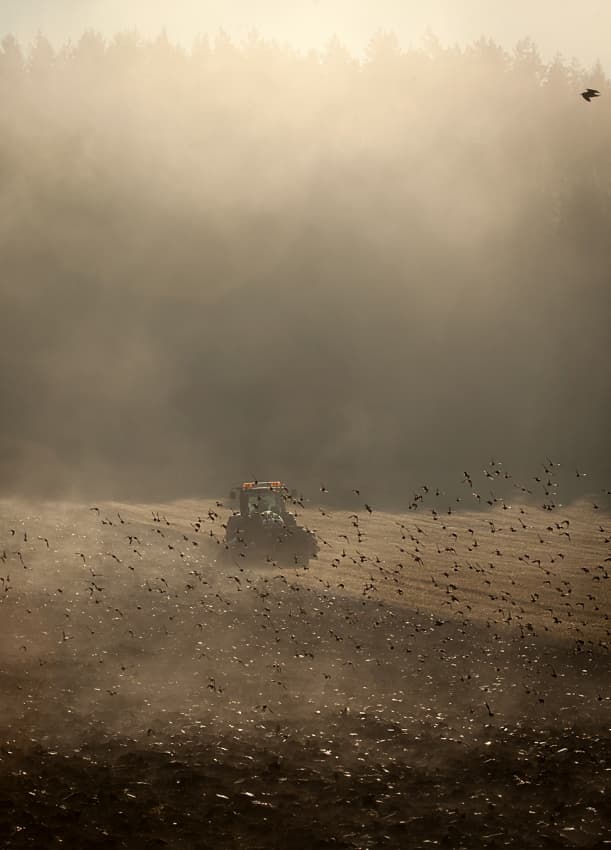 Tractor In Morning Fog by Allan Wallberg — canvas wall art