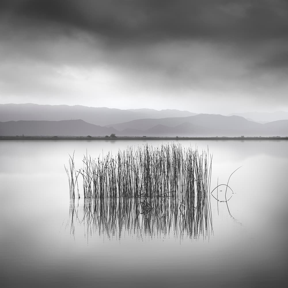 Serene Lake Reeds by George Digalakis — canvas wall art