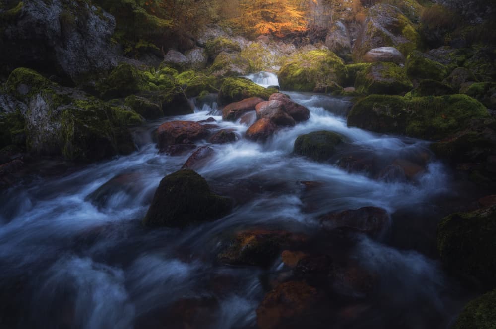 Enchanted Forest Stream by Thomas de Franzoni — canvas wall art