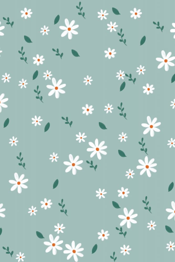 Mint Green Daisies by Xuan Thai — canvas wall art