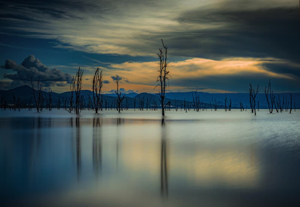 Reflected Twilight Trees by Isam Telhami — canvas wall art