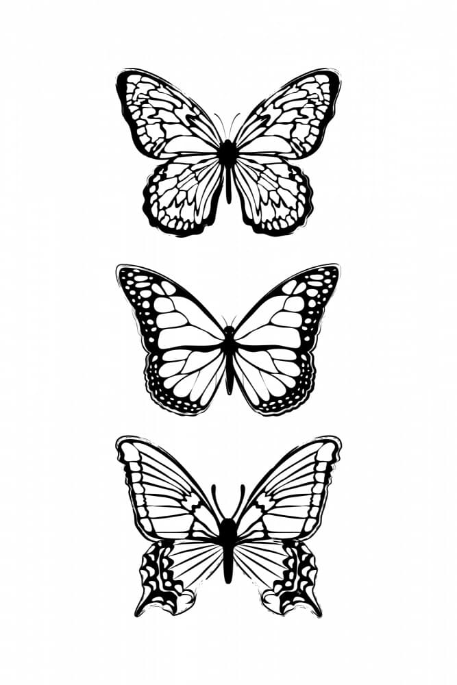Three Delicate Butterflies by Martina — canvas wall art