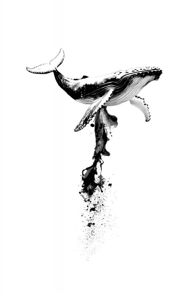 Humpback Whale Ink by Rafal Kulik — canvas wall art
