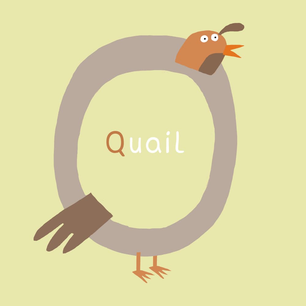 Adorable Quail Letter Q by Carla Daly — canvas wall art
