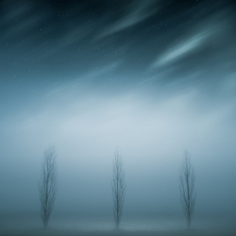 Misty Blue Night Trees by Andrea Fraccaroli — canvas wall art