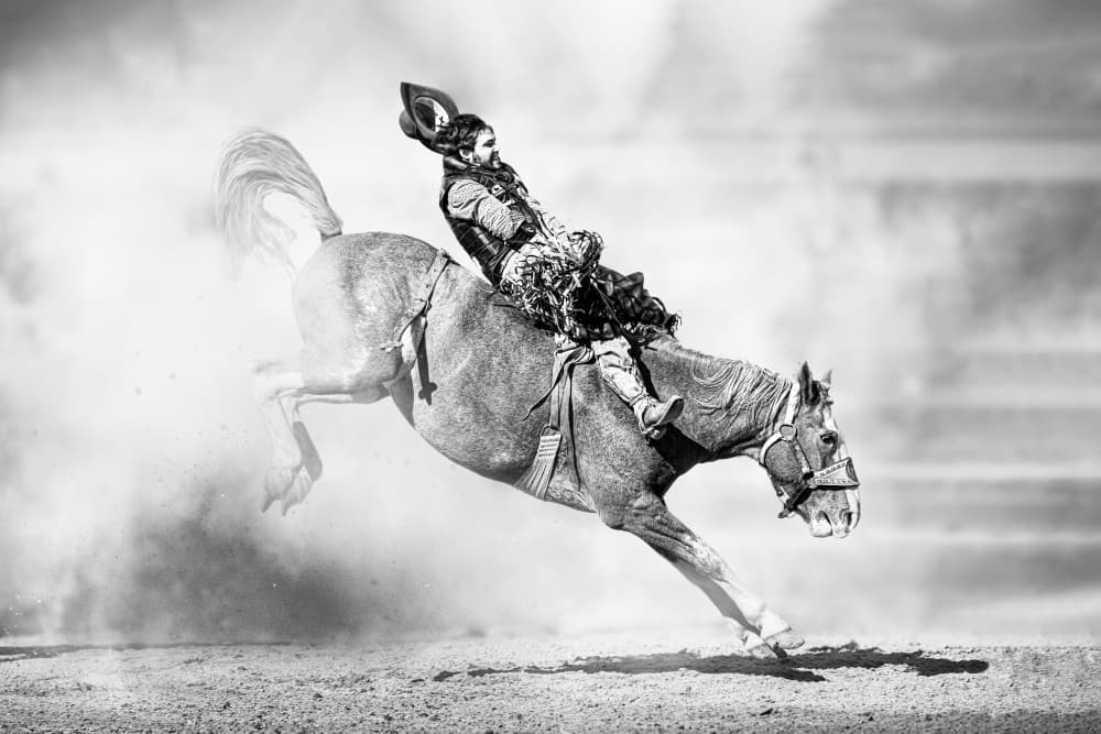 Bucking Horse Cowboy by Steven Zhou — canvas wall art