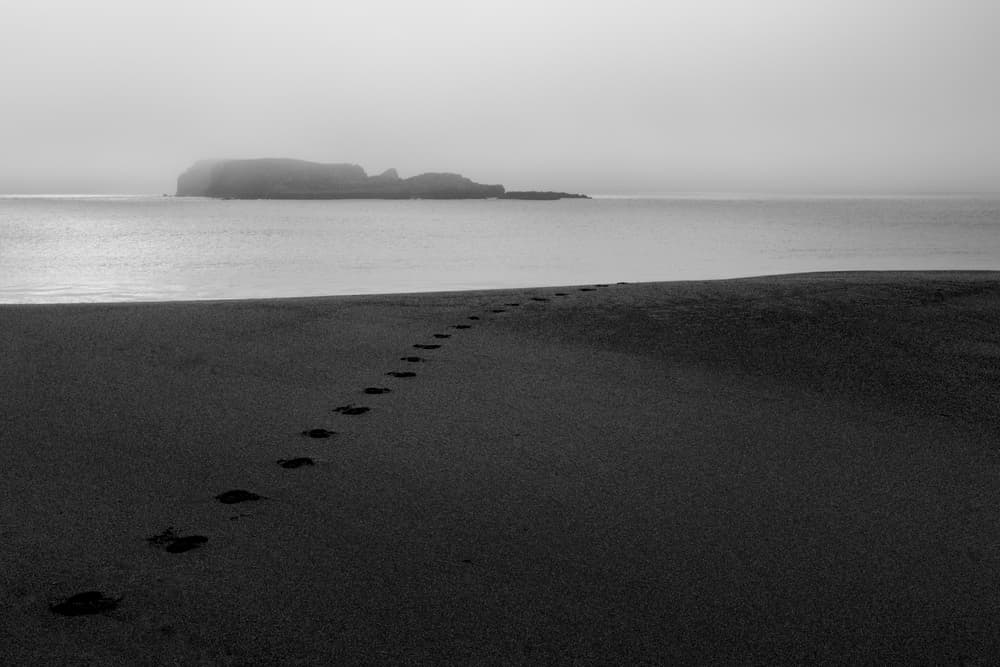 Misty Beach Footprints by Nuno Borges — canvas wall art