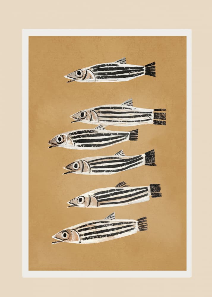 Minimal Fish Study by City Art — canvas wall art