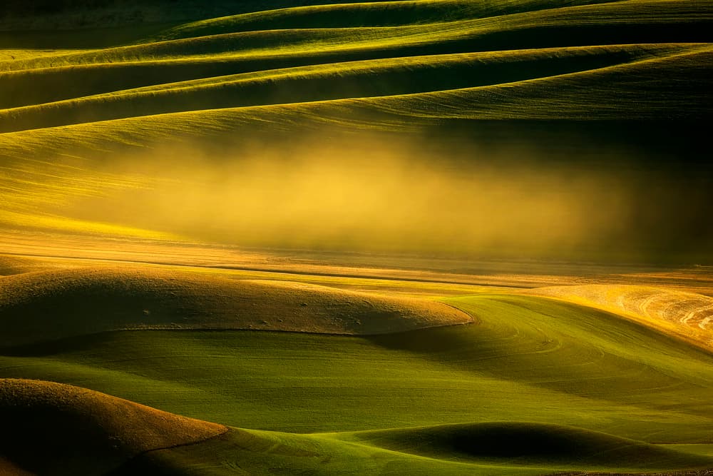 Golden Fields and Mist by David H Yang — canvas wall art
